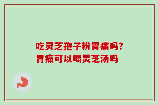 吃灵芝孢子粉胃痛吗?胃痛可以喝灵芝汤吗 吃灵芝孢子粉胃痛吗?胃痛可以喝灵芝汤吗