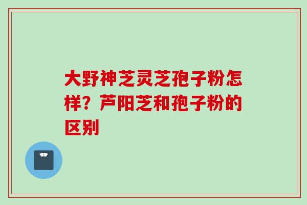 大野神芝灵芝孢子粉怎样？芦阳芝和孢子粉的区别