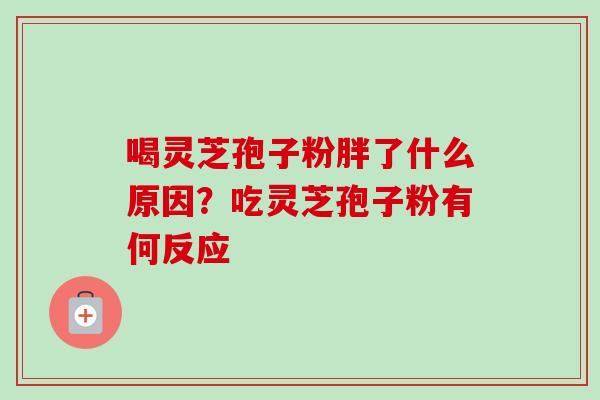 喝灵芝孢子粉胖了什么原因？吃灵芝孢子粉有何反应