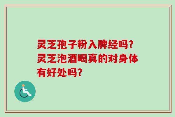 灵芝孢子粉入脾经吗？灵芝泡酒喝真的对身体有好处吗？