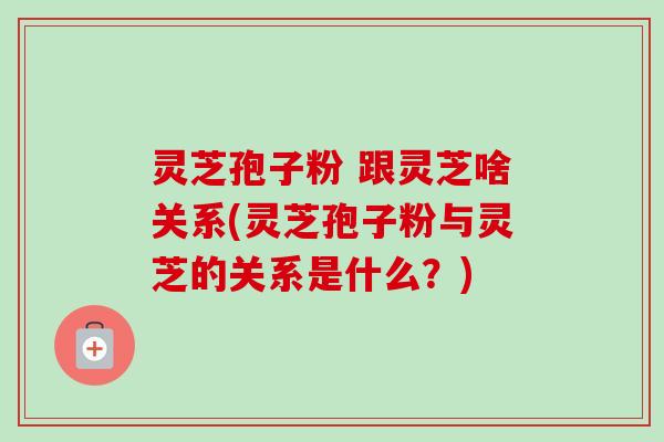 灵芝孢子粉 跟灵芝啥关系(灵芝孢子粉与灵芝的关系是什么？)
