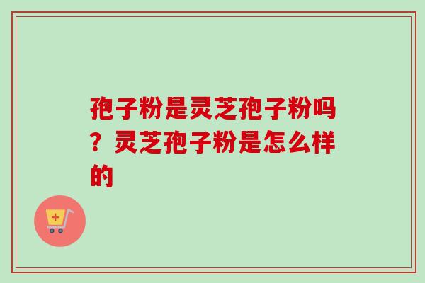 孢子粉是灵芝孢子粉吗？灵芝孢子粉是怎么样的