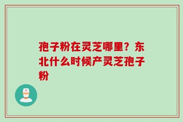 孢子粉在灵芝哪里？东北什么时候产灵芝孢子粉