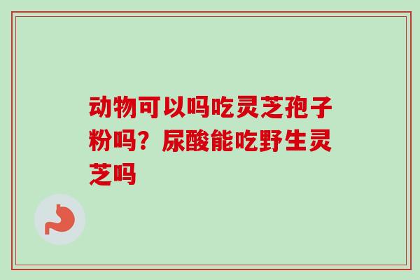 动物可以吗吃灵芝孢子粉吗？尿酸能吃野生灵芝吗