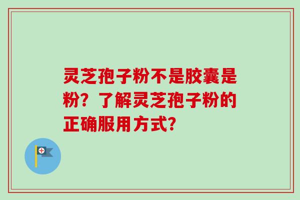 灵芝孢子粉不是胶囊是粉？了解灵芝孢子粉的正确服用方式？