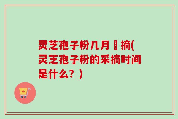 灵芝孢子粉几月釆摘(灵芝孢子粉的采摘时间是什么？)