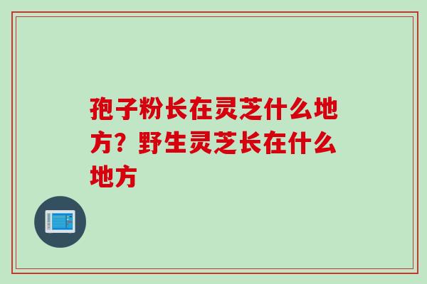 孢子粉长在灵芝什么地方？野生灵芝长在什么地方
