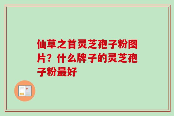 仙草之首灵芝孢子粉图片？什么牌子的灵芝孢子粉最好