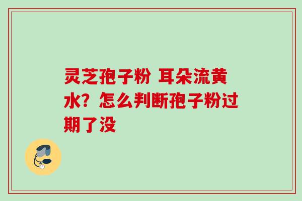 灵芝孢子粉 耳朵流黄水？怎么判断孢子粉过期了没