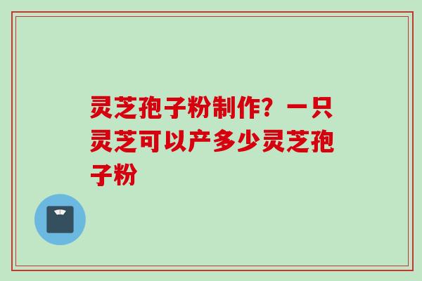 灵芝孢子粉制作？一只灵芝可以产多少灵芝孢子粉