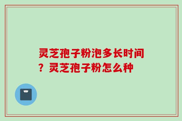 灵芝孢子粉泡多长时间？灵芝孢子粉怎么种
