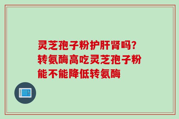 灵芝孢子粉护肝肾吗？转氨酶高吃灵芝孢子粉能不能降低转氨酶