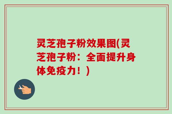 灵芝孢子粉效果图(灵芝孢子粉:全面提升身体免疫力!) 灵芝孢子粉效果图(灵芝孢子粉:全面提升身体免疫力!)