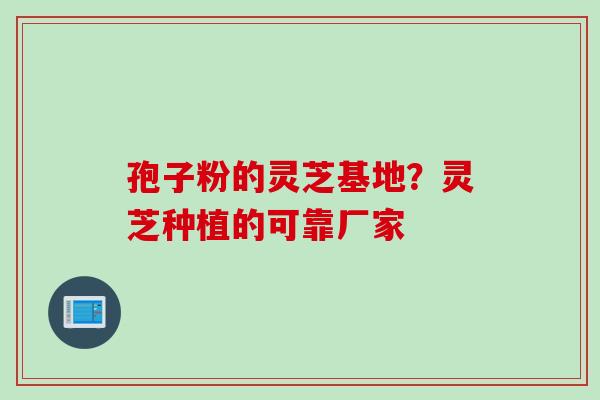 孢子粉的灵芝基地？灵芝种植的可靠厂家