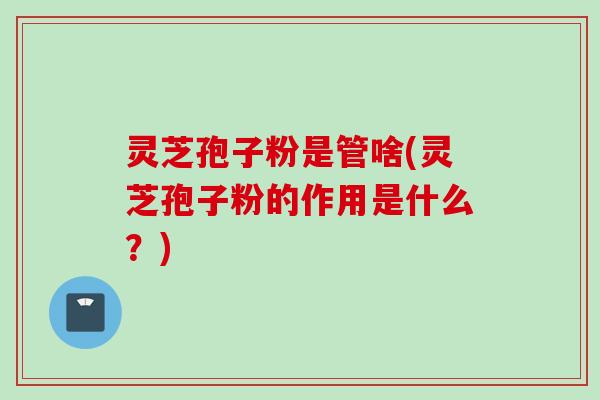 灵芝孢子粉是管啥(灵芝孢子粉的作用是什么？)