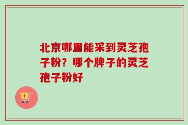 北京哪里能采到灵芝孢子粉？哪个牌子的灵芝孢子粉好