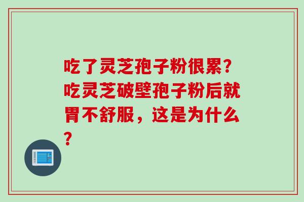 吃了灵芝孢子粉很累？吃灵芝破壁孢子粉后就胃不舒服，这是为什么？