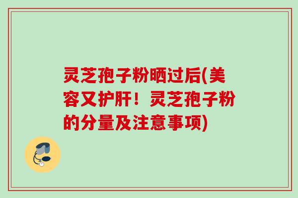 灵芝孢子粉晒过后(美容又护肝！灵芝孢子粉的分量及注意事项)