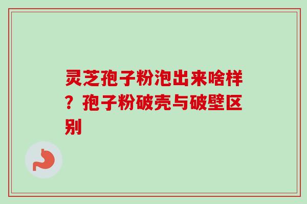灵芝孢子粉泡出来啥样？孢子粉破壳与破壁区别