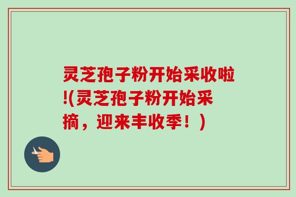 灵芝孢子粉开始采收啦!(灵芝孢子粉开始采摘，迎来丰收季！)