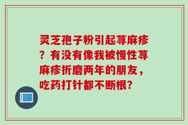 灵芝孢子粉引起荨麻疹？有没有像我被慢性荨麻疹折磨两年的朋友，吃药打针都不断根？