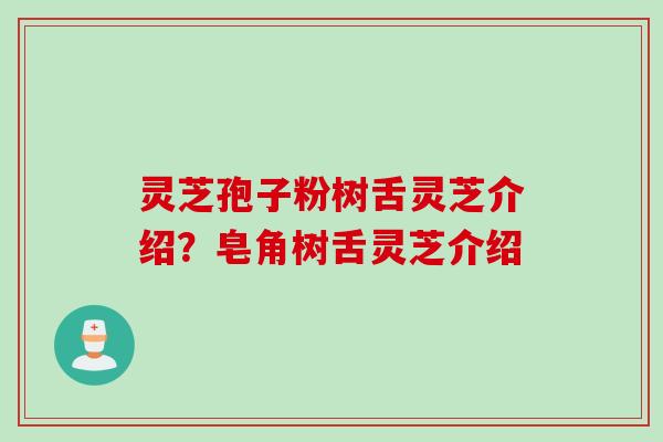 灵芝孢子粉树舌灵芝介绍？皂角树舌灵芝介绍