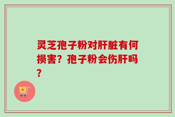 灵芝孢子粉对肝脏有何损害？孢子粉会伤肝吗？
