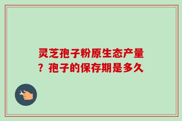 灵芝孢子粉原生态产量？孢子的保存期是多久