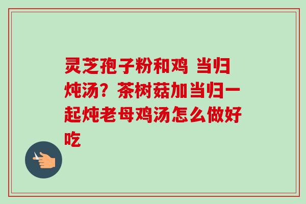 灵芝孢子粉和鸡 当归炖汤？茶树菇加当归一起炖老母鸡汤怎么做好吃