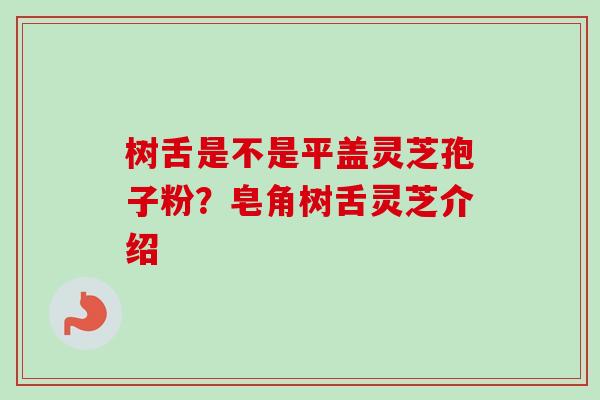 树舌是不是平盖灵芝孢子粉？皂角树舌灵芝介绍