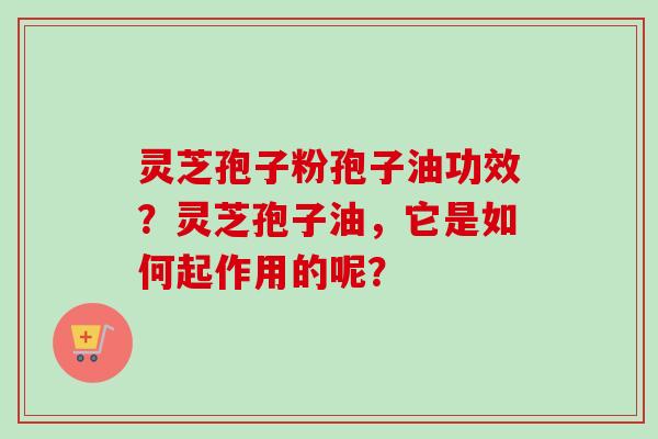 灵芝孢子粉孢子油功效？灵芝孢子油，它是如何起作用的呢？