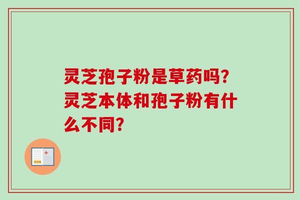 灵芝孢子粉是草药吗?灵芝本体和孢子粉有什么不同? 灵芝孢子粉是草药吗?灵芝本体和孢子粉有什么不同?