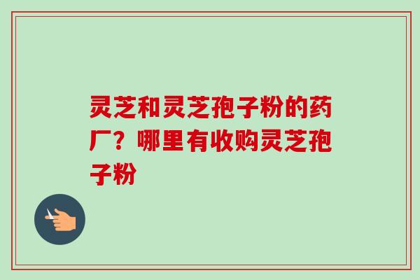 灵芝和灵芝孢子粉的药厂？哪里有收购灵芝孢子粉