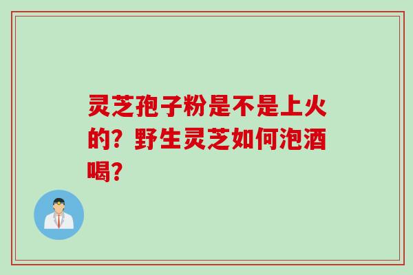 灵芝孢子粉是不是上火的？野生灵芝如何泡酒喝？