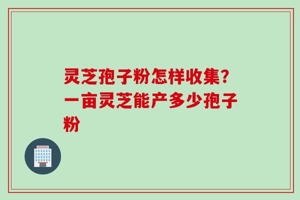 灵芝孢子粉怎样收集？一亩灵芝能产多少孢子粉
