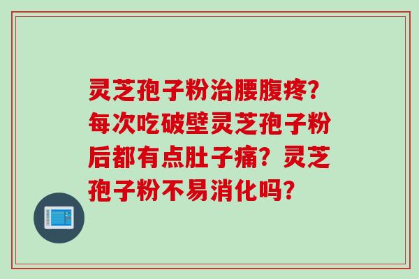 灵芝孢子粉治腰腹疼？每次吃破壁灵芝孢子粉后都有点肚子痛？灵芝孢子粉不易消化吗？