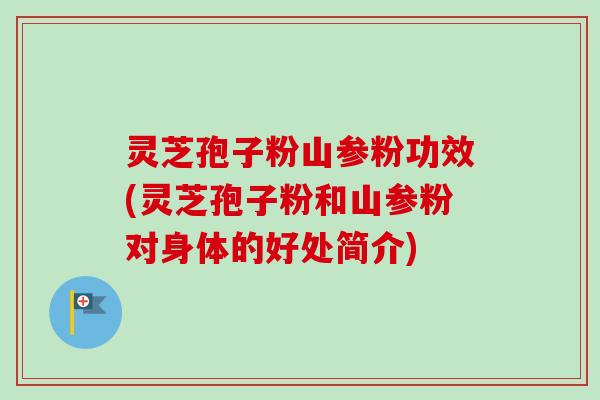 灵芝孢子粉山参粉功效(灵芝孢子粉和山参粉对身体的好处简介)