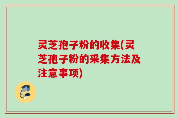 灵芝孢子粉的收集(灵芝孢子粉的采集方法及注意事项)