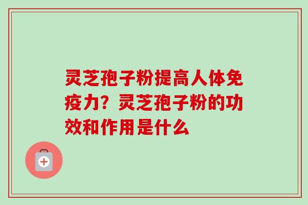 灵芝孢子粉提高人体免疫力？灵芝孢子粉的功效和作用是什么