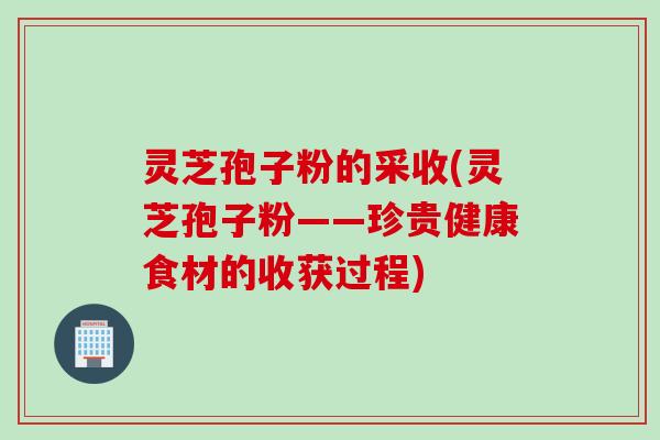 灵芝孢子粉的采收(灵芝孢子粉——珍贵健康食材的收获过程)