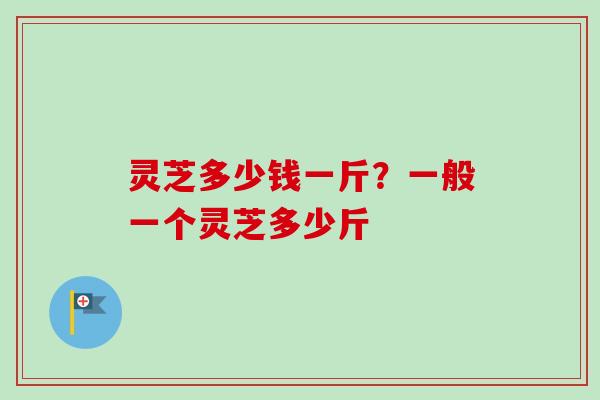 灵芝多少钱一斤？一般一个灵芝多少斤