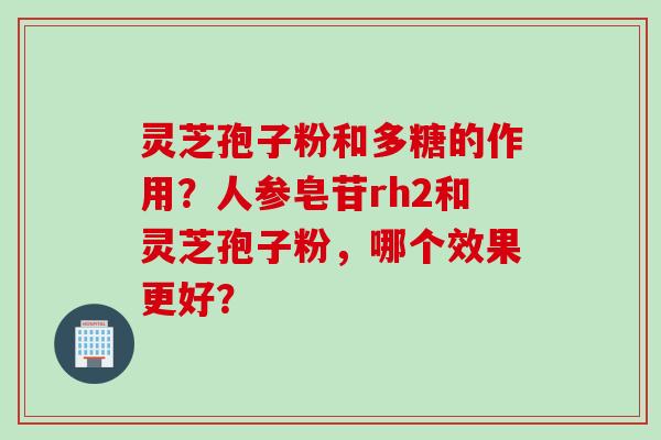 灵芝孢子粉和多糖的作用?人参皂苷rh2和灵芝孢子粉,哪个效果更好? 灵芝孢子粉和多糖的作用?人参皂苷rh2和灵芝孢子粉,哪个效果更好?