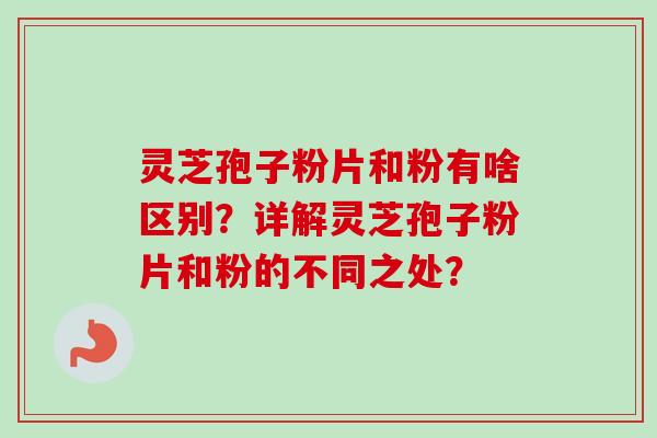 灵芝孢子粉片和粉有啥区别？详解灵芝孢子粉片和粉的不同之处？