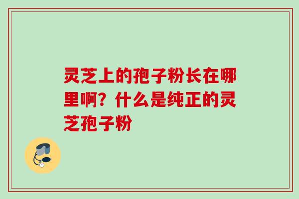 灵芝上的孢子粉长在哪里啊？什么是纯正的灵芝孢子粉