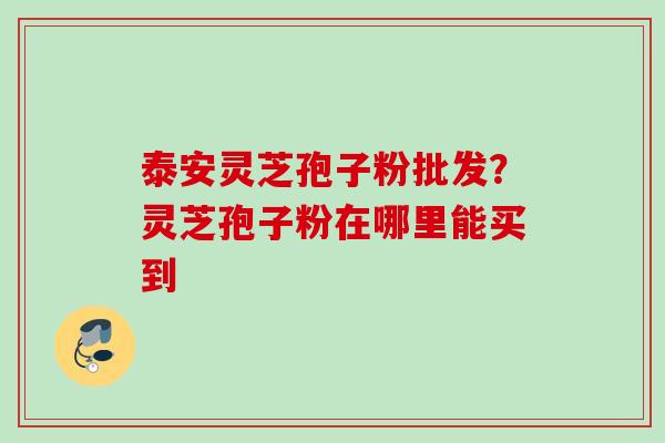 泰安灵芝孢子粉批发？灵芝孢子粉在哪里能买到