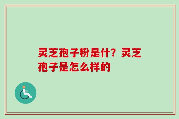 灵芝孢子粉是什？灵芝孢子是怎么样的