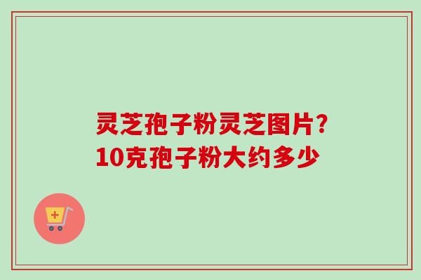 灵芝孢子粉灵芝图片？10克孢子粉大约多少