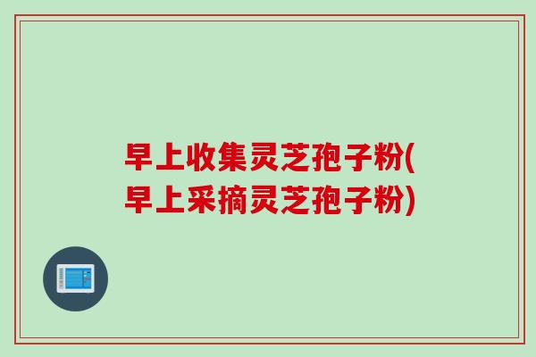 早上收集灵芝孢子粉(早上采摘灵芝孢子粉)