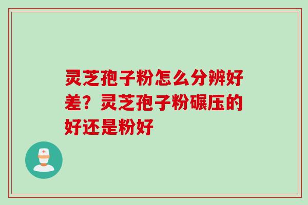 灵芝孢子粉怎么分辨好差？灵芝孢子粉碾压的好还是粉好