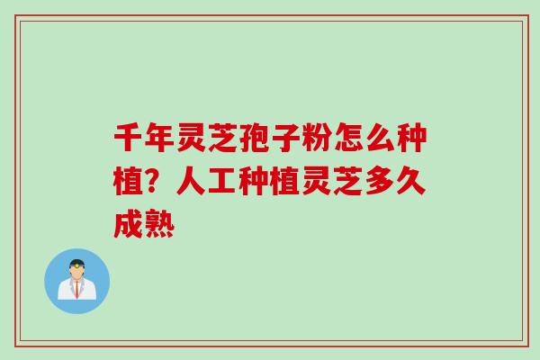 千年灵芝孢子粉怎么种植？人工种植灵芝多久成熟